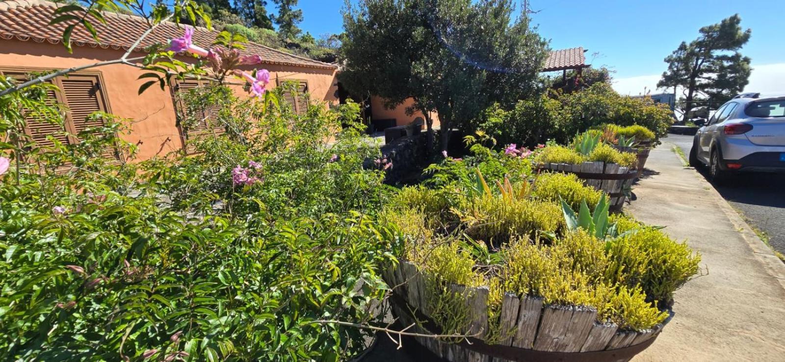 Vivienda Vacacional El Lagar, Bodega A Fuencaliente de la Palma Luaran gambar
