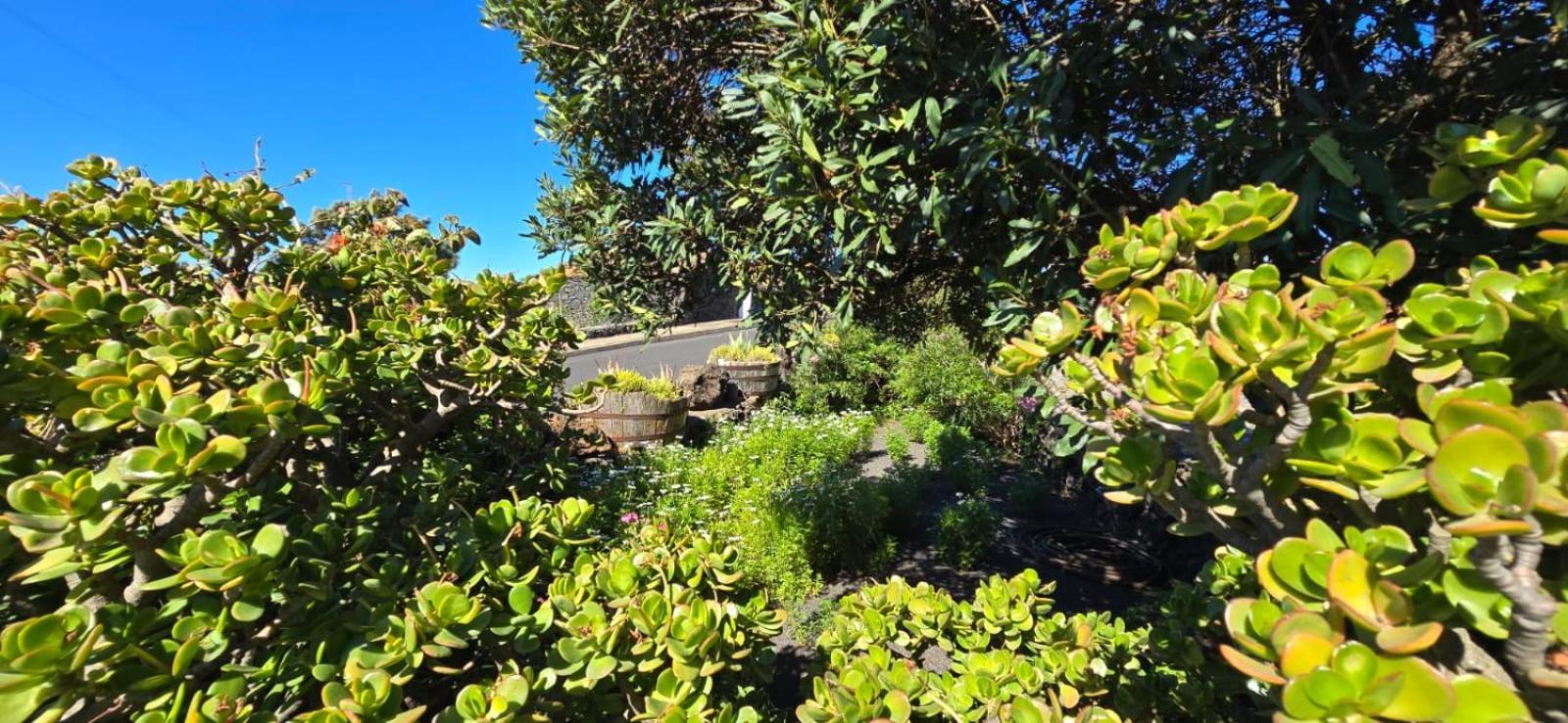 Vivienda Vacacional El Lagar, Bodega A Fuencaliente de la Palma Luaran gambar