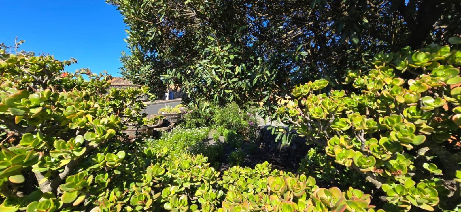 Vivienda Vacacional El Lagar, Bodega A Fuencaliente de la Palma Luaran gambar