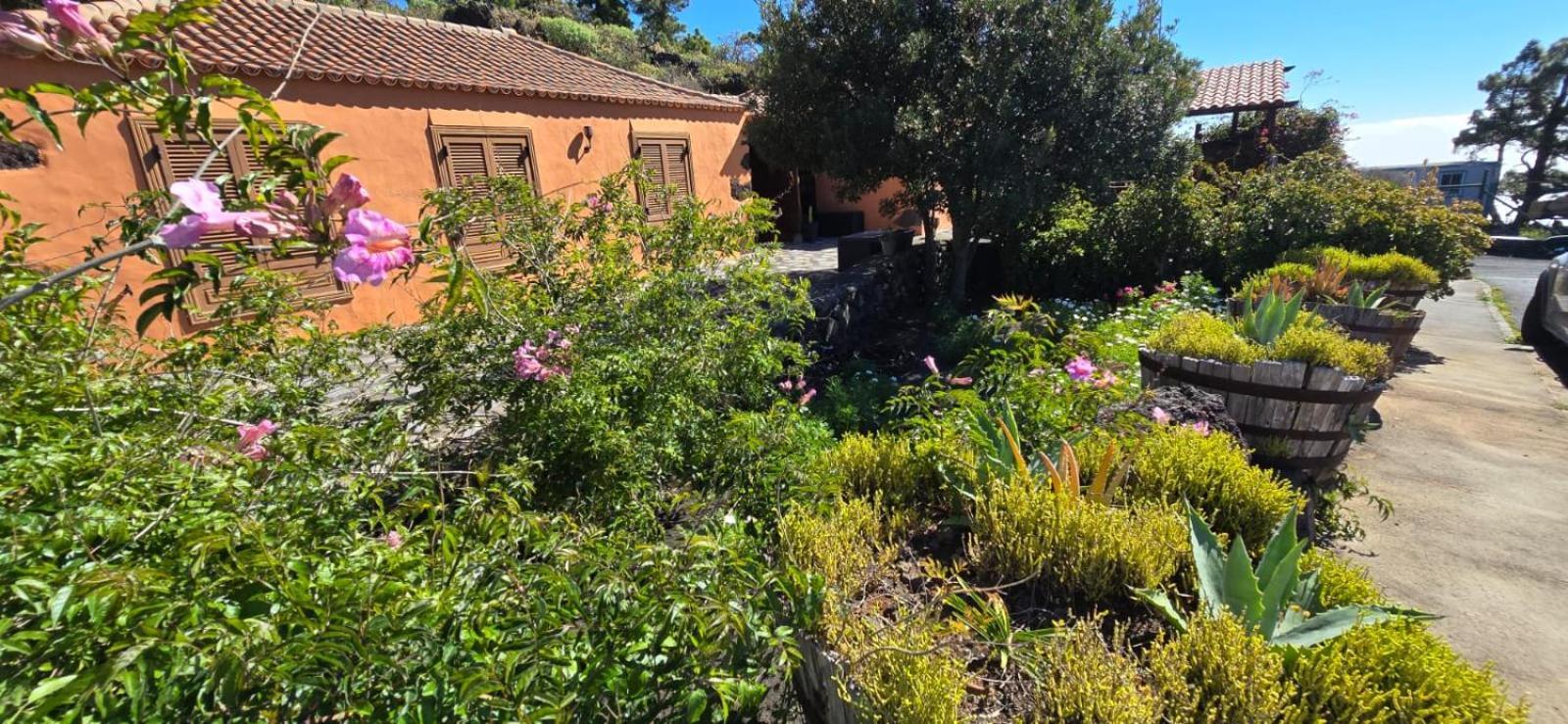 Vivienda Vacacional El Lagar, Bodega A Fuencaliente de la Palma Luaran gambar