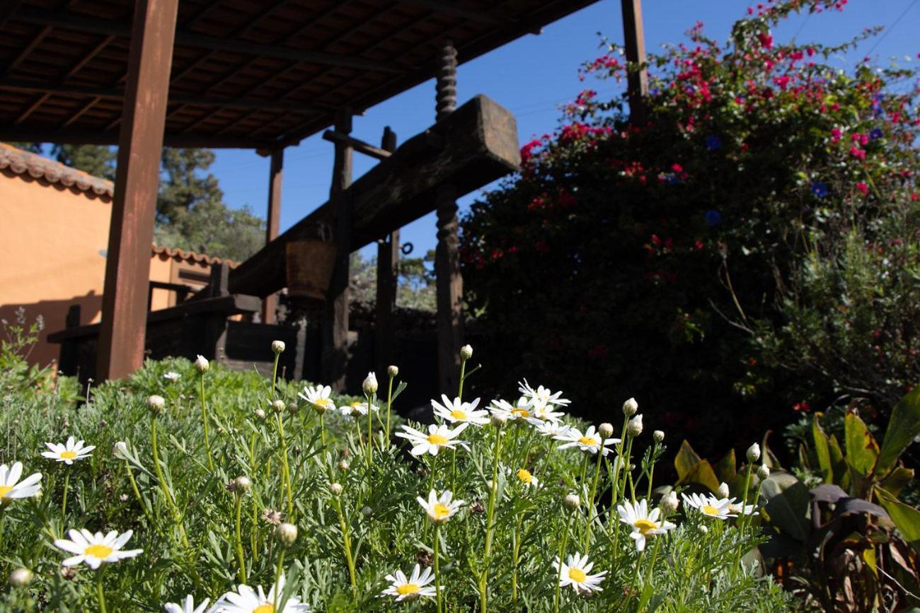 Vivienda Vacacional El Lagar, Bodega A Fuencaliente de la Palma Luaran gambar